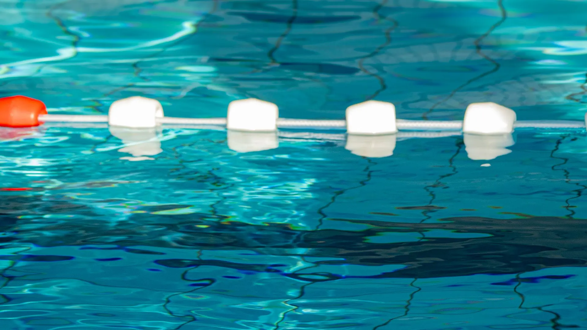 Rustig, zonverlicht lesbad met baanlijnen — Zwemschool De Winter Sport